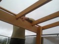 /album/telhados1/foto0414-jpg/